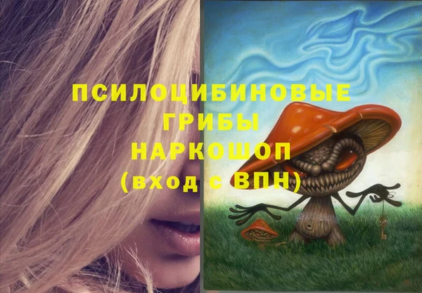 бутират Арсеньев